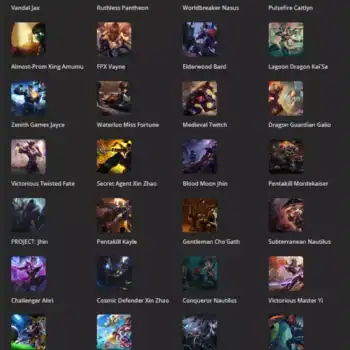 40 Skins Mail Access | LAN