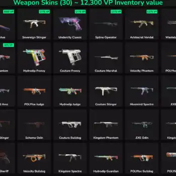 30 Skins Inactive | NA 🇺🇸