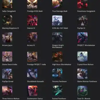 232 Skins Mail Access | LAS