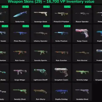 High-quality Valorant and Fortnite weapon skins with inactive status, ideal for collectors and gamer.