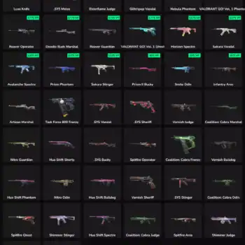 High-quality gaming skins for Valorant and Fortnite, including inactive skins and popular weapon des.