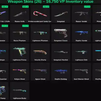 Collection of 30 inactive Valorant and Fortnite skins with high inventory value.