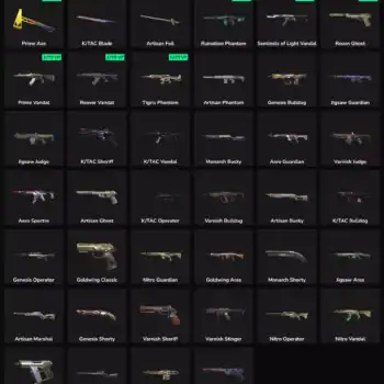 Prime Axe, K/TAC Blade, Artisan Foil, Ruination Phantom, Sentinels of Light Vandal, Recon Ghost, Pri.