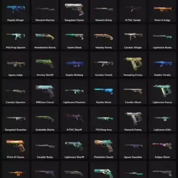 High-quality Valorant and Fortnite skins collection with 51 inactive skins.