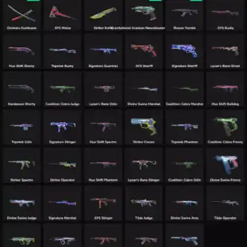 Collection of 41 inactive Valorant weapon skins for NA servers.