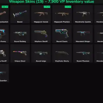 High-quality Valorant and Fortnite weapon skins with 19 inactive options available for purchase.