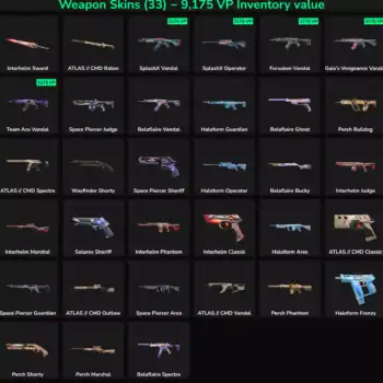 Inactive Valorant and Fortnite skins with vibrant designs and unique styles. Perfect for gaming acco.