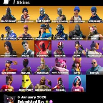 Quality gaming skins collection featuring popular characters and exclusive items.