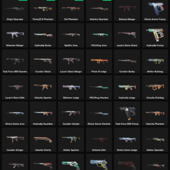 49 Skins Inactive | NA 🇺🇸