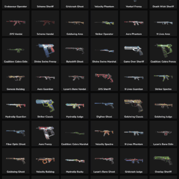 Collection of 84 inactive Valorant and Fortnite skins for gaming accounts.