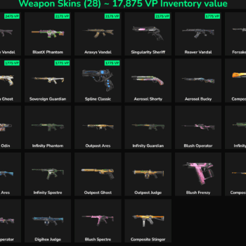 28 Skins Inactive | NA 🇺🇸