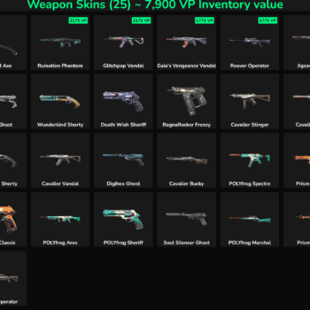 25 Skins Inactive | NA 🇺🇸