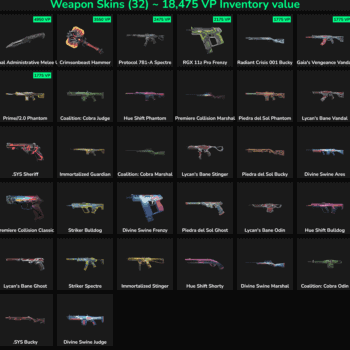 32 Skins Inactive | NA 🇺🇸