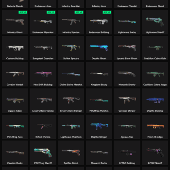 55 Skins Inactive | NA 🇺🇸