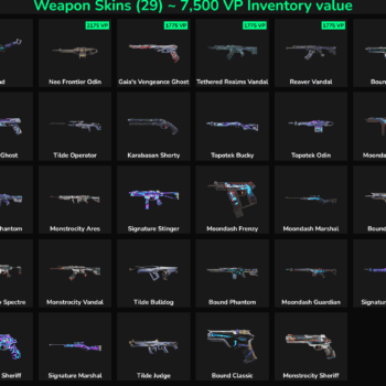 29 Skins Inactive | NA 🇺🇸