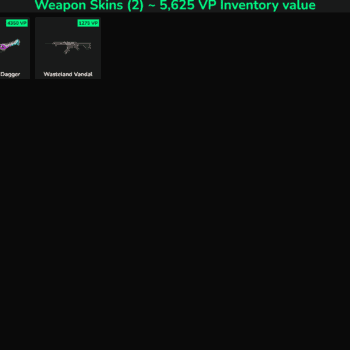 2 Skins Inactive | NA 🇺🇸