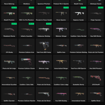 43 Skins Inactive | NA 🇺🇸