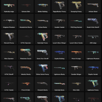 Quality Valorant and Fortnite weapon skins with 111 inactive skins listed.