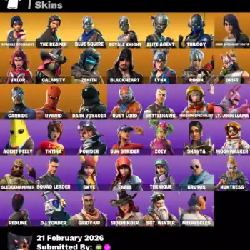High-quality gaming accounts with Valorant skins and Fortnite characters for sale.