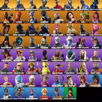 Quality Valorant and Fortnite accounts with 62 skins included.