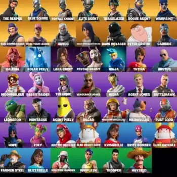 [PC] 49 skins | OG STW | The Reaper | Blue Squire | Royale Knight | Elite Agent | Trailblazer | Rogue Agent | Sub Commander | Havoc | 450 VB