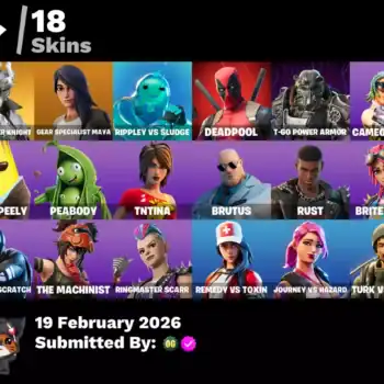 [PC] 18 skins | Rogue Spider Knight | Gear Specialist Maya | Rippley vs Sludge | Deadpool | T-60 Power Armor | Cameo vs Chic | Agent Peely | Peabody | 800 VB