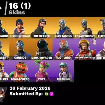 Collection of Valorant and Fortnite skins including Black Knight, Sparkle Specialist, and more.