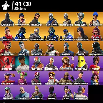 [PC] 41 skins | Black Knight | Sparkle Specialist | The Reaper | Blue Squire | Royale Knight | Elite Agent | Blue Team Leader | Prodigy | 1950 VB