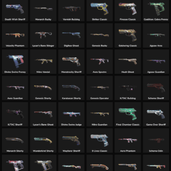 89 Skins Inactive | NA 🇺🇸