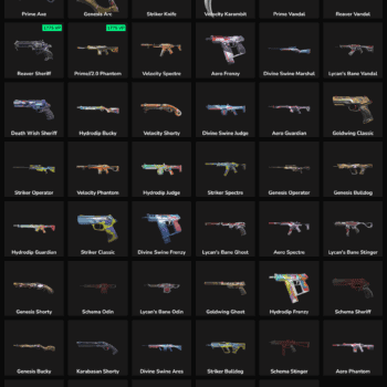 47 Skins Inactive | NA 🇺🇸