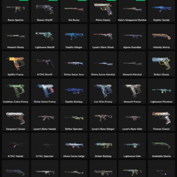 62 Skins Inactive | NA 🇺🇸