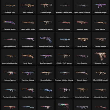 89 Skins Inactive | NA 🇺🇸