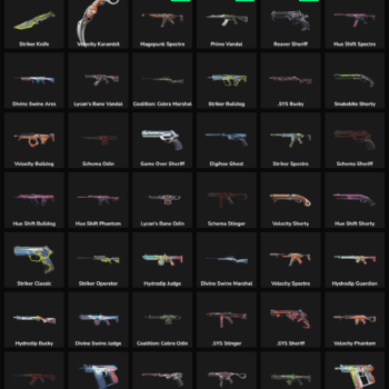 42 Skins Inactive | NA 🇺🇸