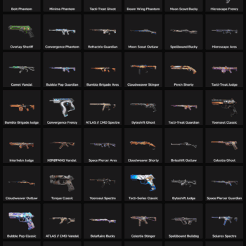 Collection of Valorant and Fortnite skins with inactive status.